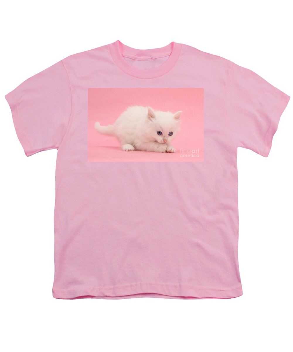 Animal Youth T-Shirt featuring the photograph White Kitten #1 by Mark Taylor
