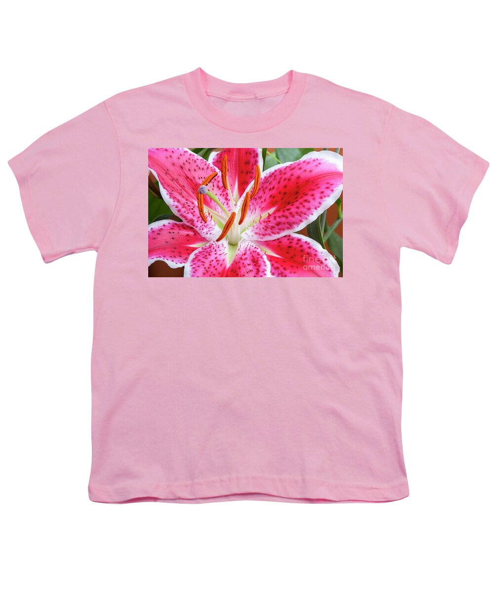 Lily Youth T-Shirt featuring the photograph Lily Stamen Pistils Pink White Prickly by David Zanzinger