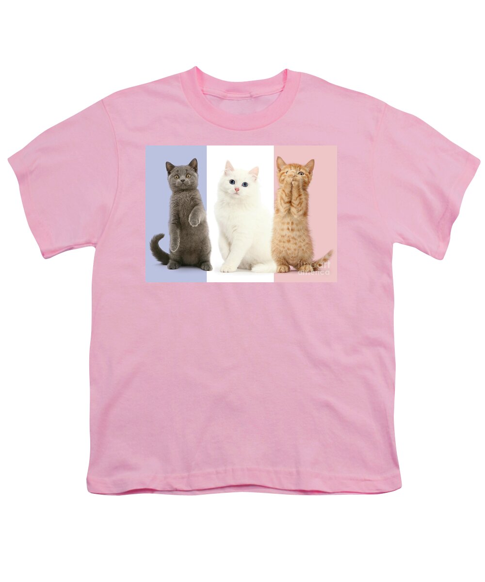 Tricolour Youth T-Shirt featuring the photograph Tricolour French flag cats by Warren Photographic