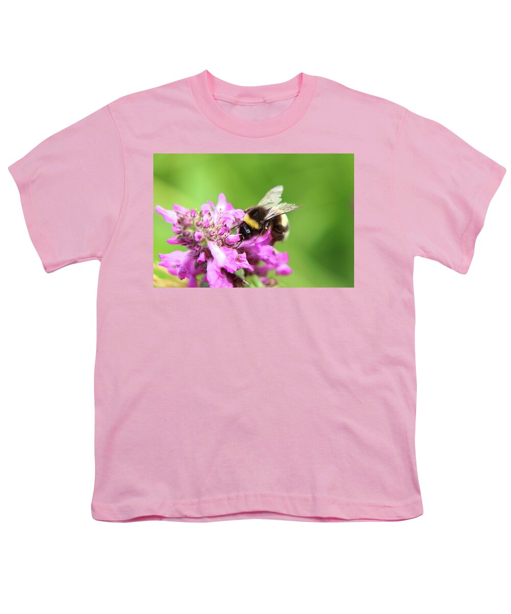 Bombus Hortorum Youth T-Shirt featuring the photograph Bombus hortorum, garden bumblebee, pollinating some flower in Slovakia grassland. by Vaclav Sonnek