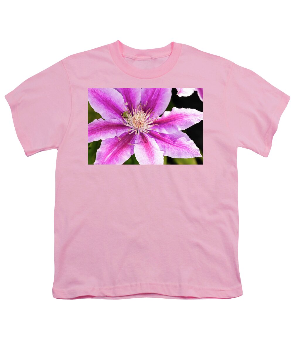 Clematis Youth T-Shirt featuring the photograph Pink Clematis Flower Photograph by Louis Dallara