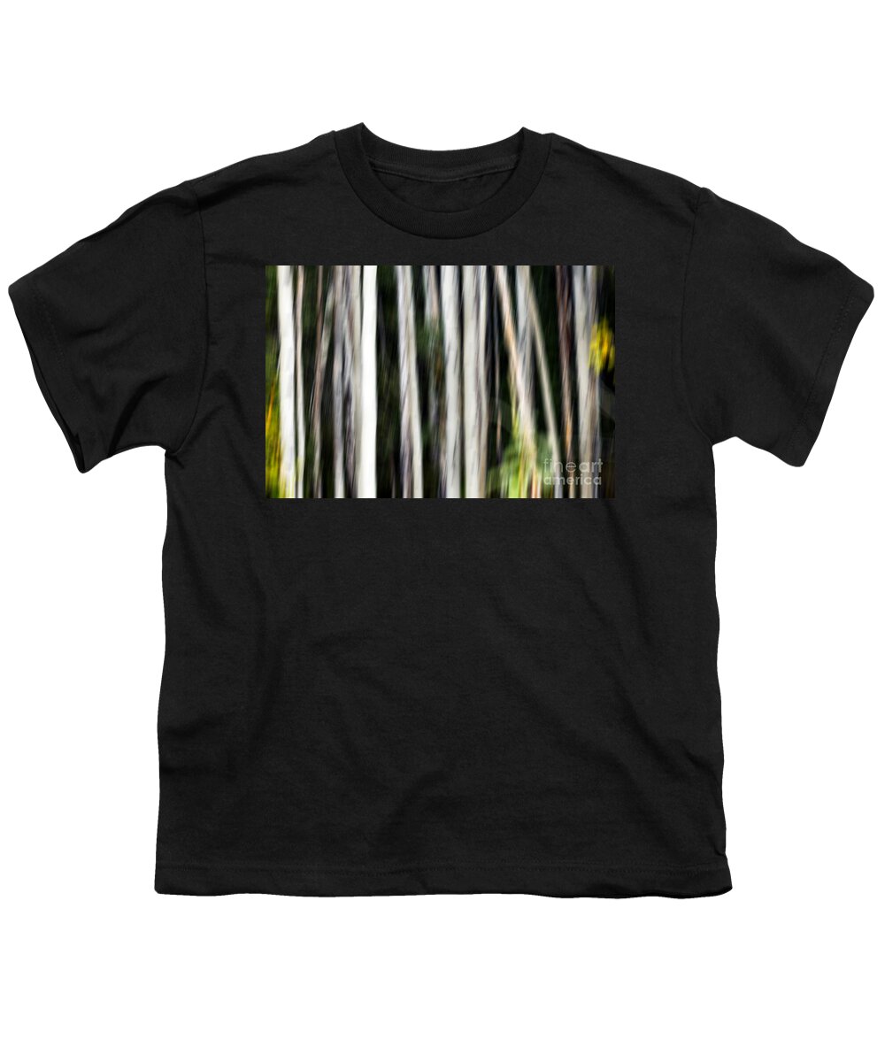 Abstract Youth T-Shirt featuring the photograph 0897 Aspen abstract by Steve Sturgill