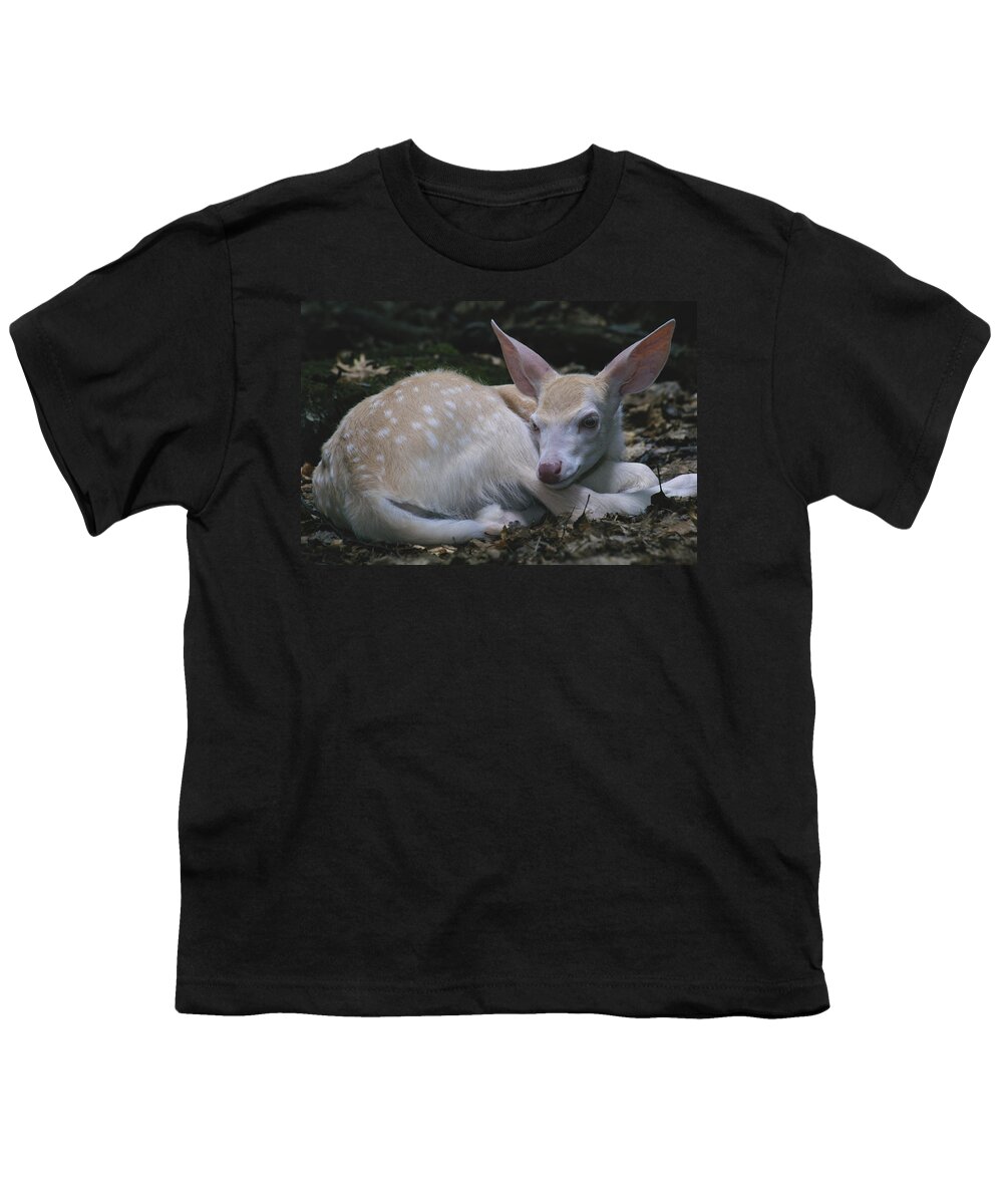 Albinic Youth T-Shirt featuring the photograph Albino White-tailed Deer Fawn #1 by Thomas And Pat Leeson