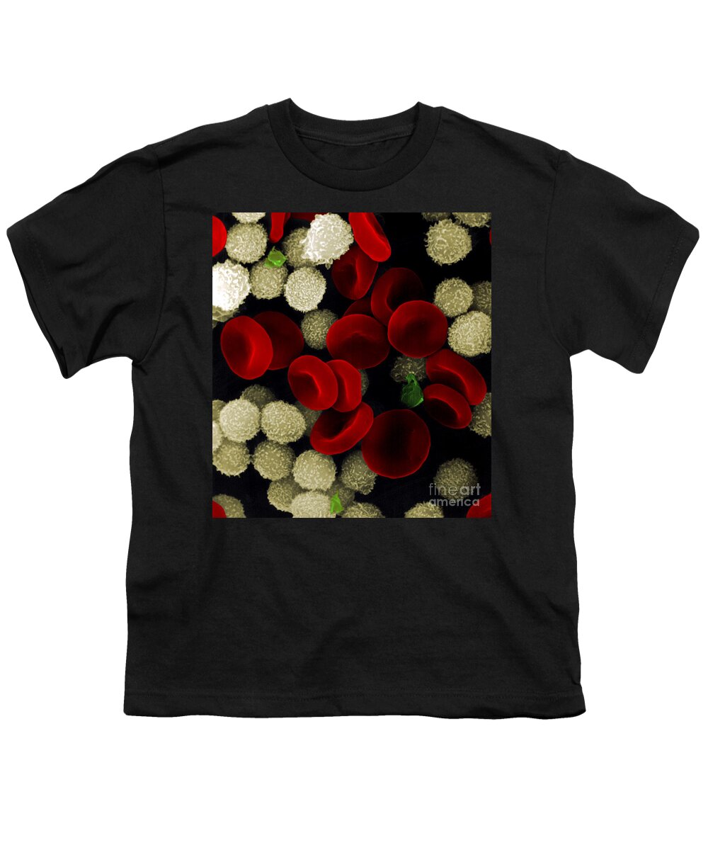 Leukocyte Youth T-Shirt featuring the photograph Blood Cells by Stem Jems
