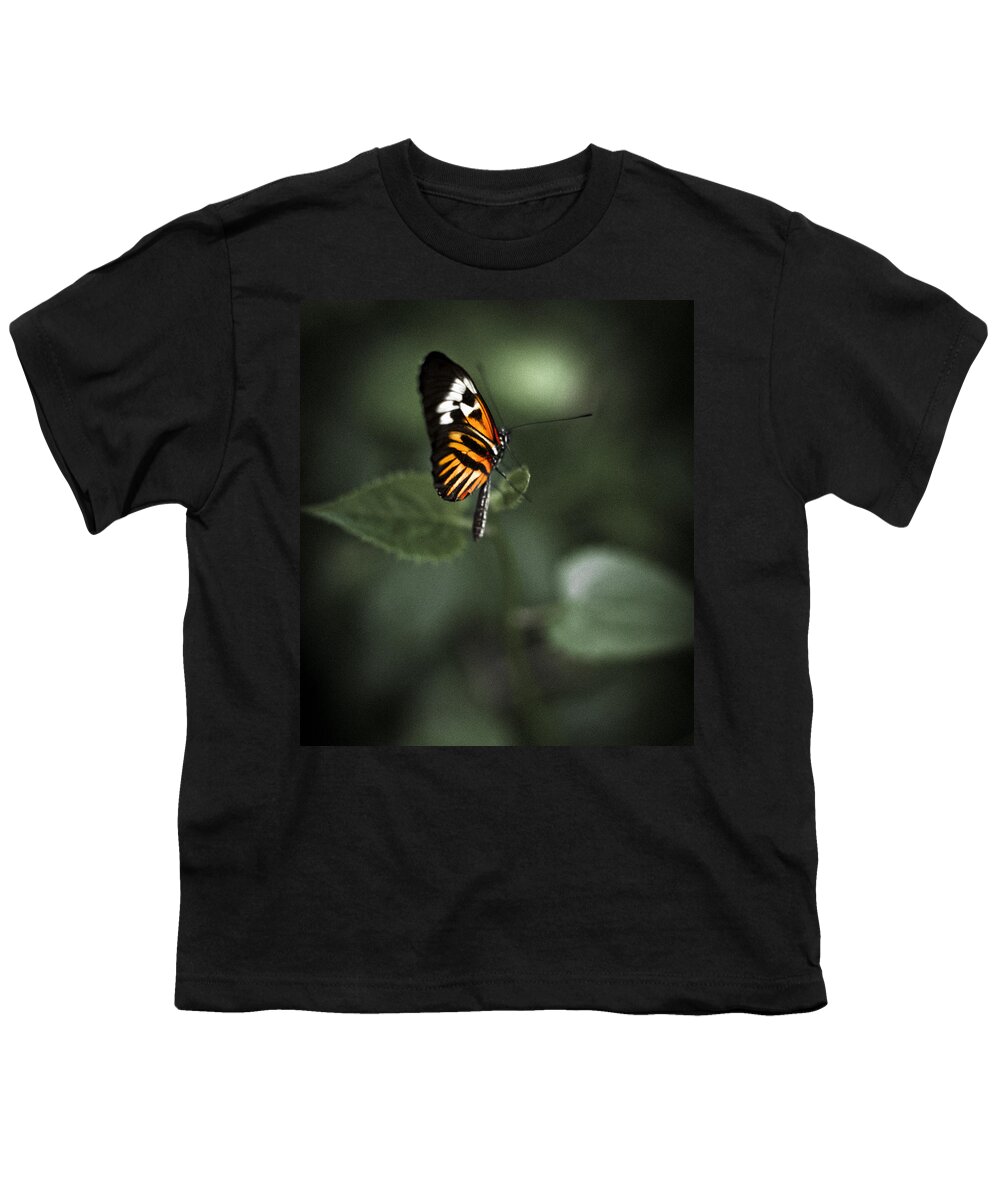 Butterfly Youth T-Shirt featuring the photograph Butterfly #1 by Bradley R Youngberg
