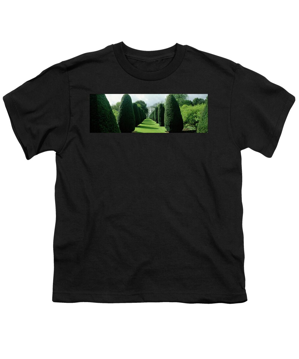 Photography Youth T-Shirt featuring the photograph Hedge In A Formal Garden, Hinton Ampner #1 by Panoramic Images