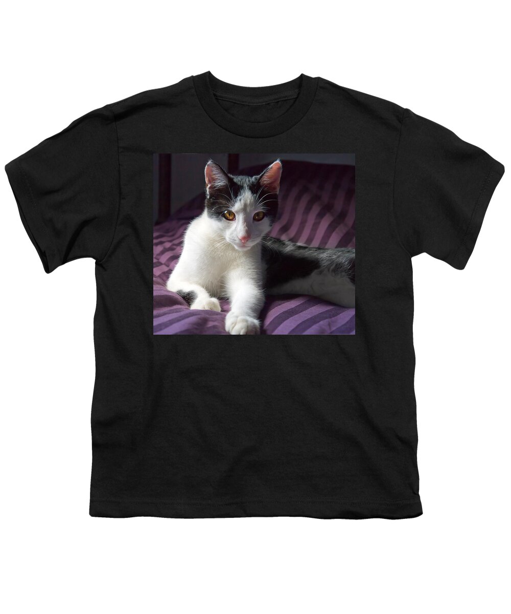 Beautiful Youth T-Shirt featuring the photograph Kitten #1 by Melinda Fawver