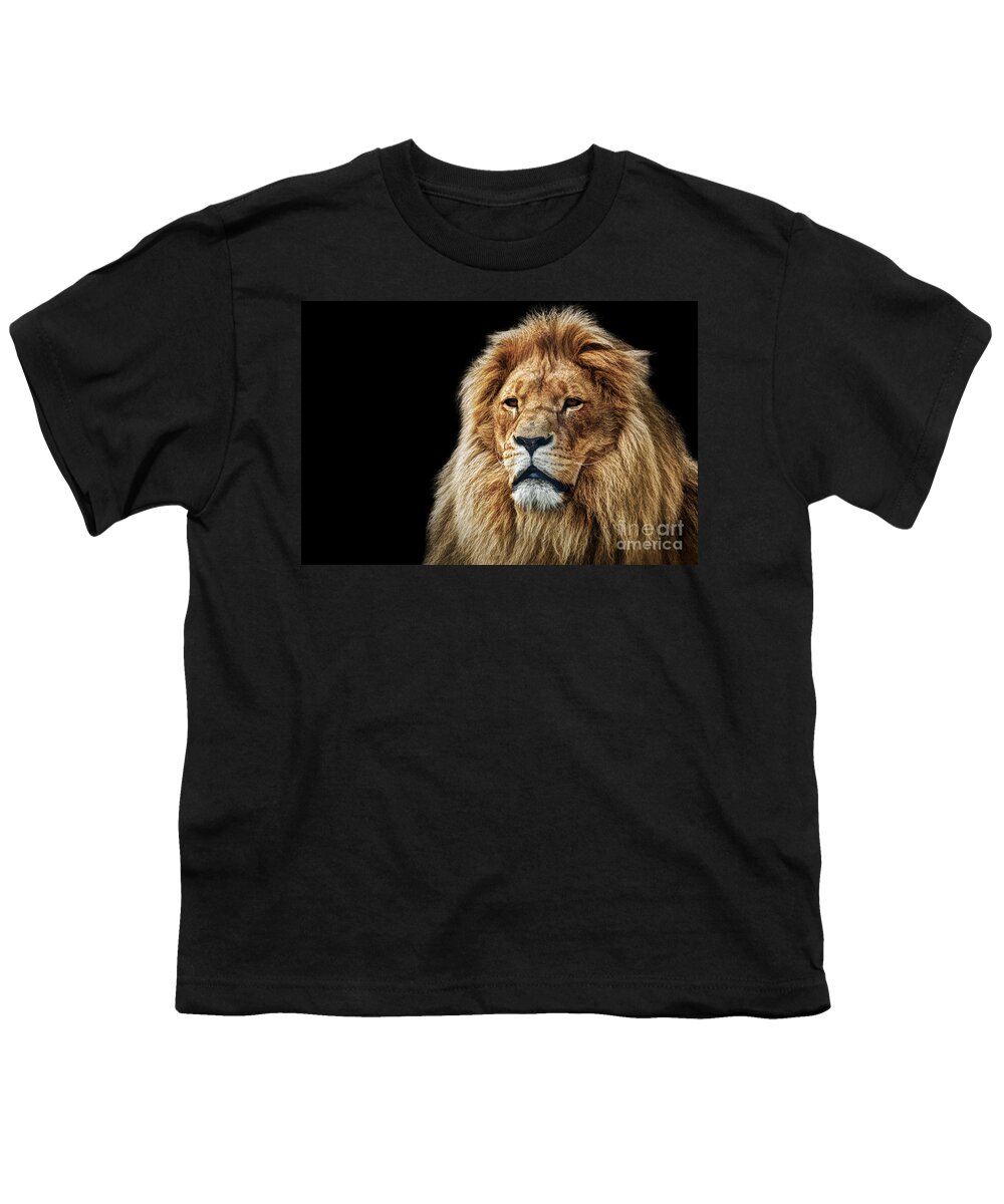 Lion Youth T-Shirt featuring the photograph Lion portrait with rich mane on black #1 by Michal Bednarek