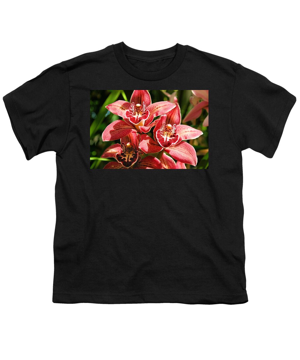 Orchid Youth T-Shirt featuring the photograph Orchids #1 by Jane Girardot