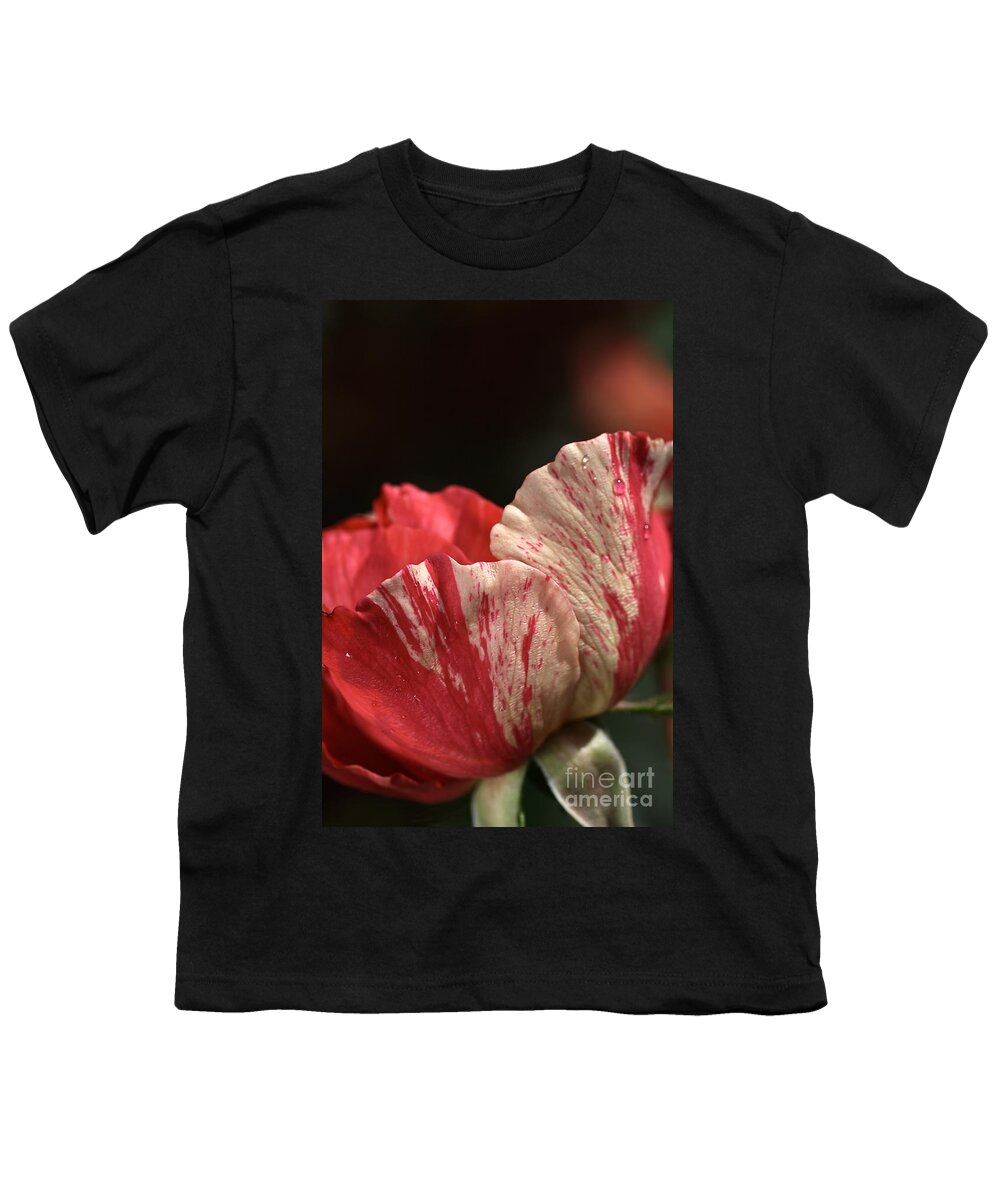 Joy Watson Youth T-Shirt featuring the photograph Two Toned Rose by Joy Watson