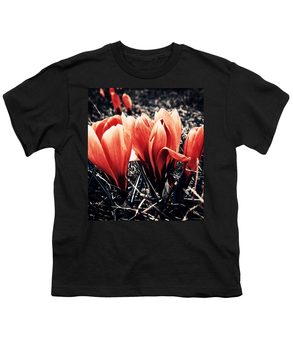 Crocus Youth T-Shirt featuring the photograph Waiting by Zinvolle Art