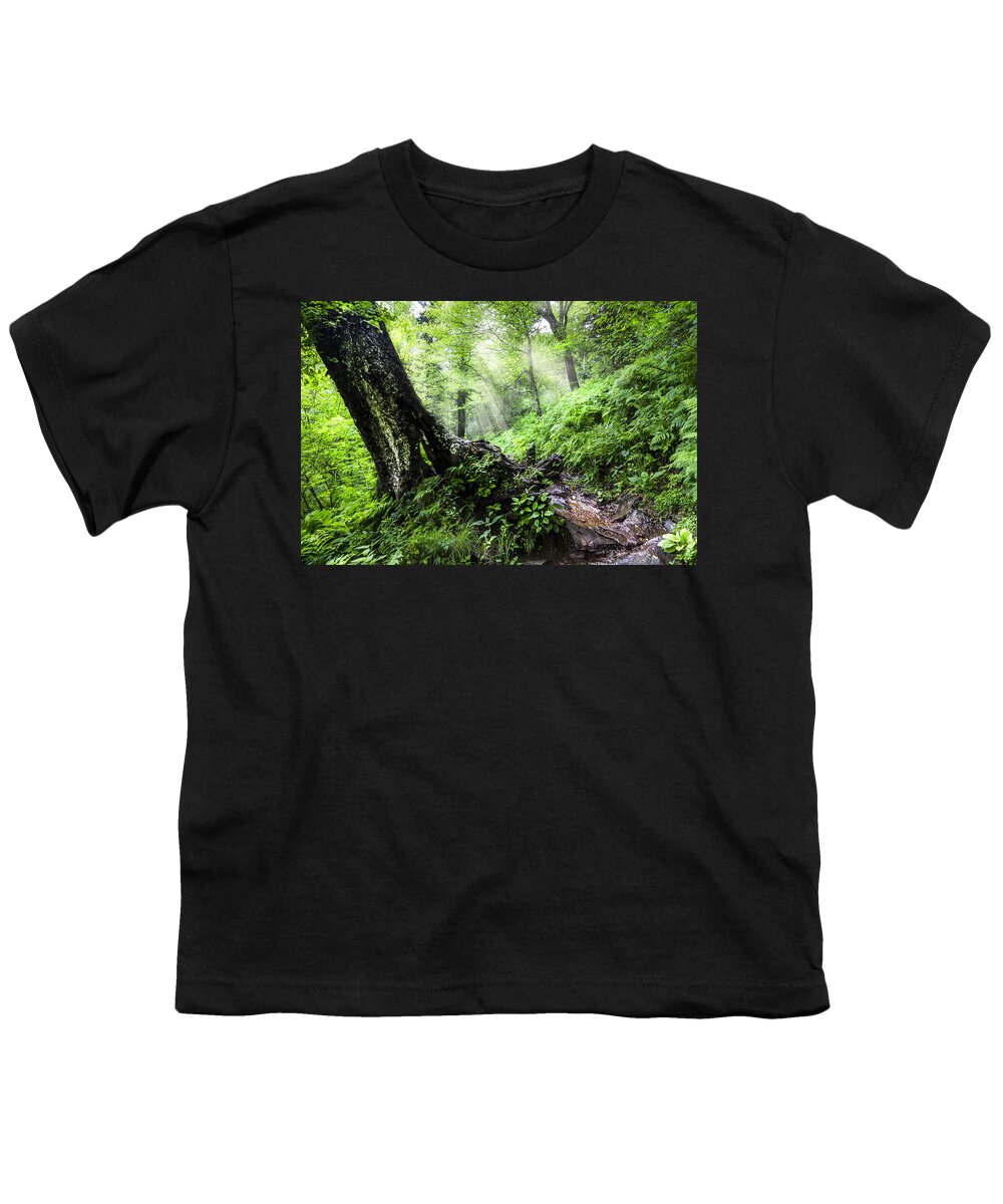 American Youth T-Shirt featuring the photograph Appalachian Trail #2 by Debra and Dave Vanderlaan