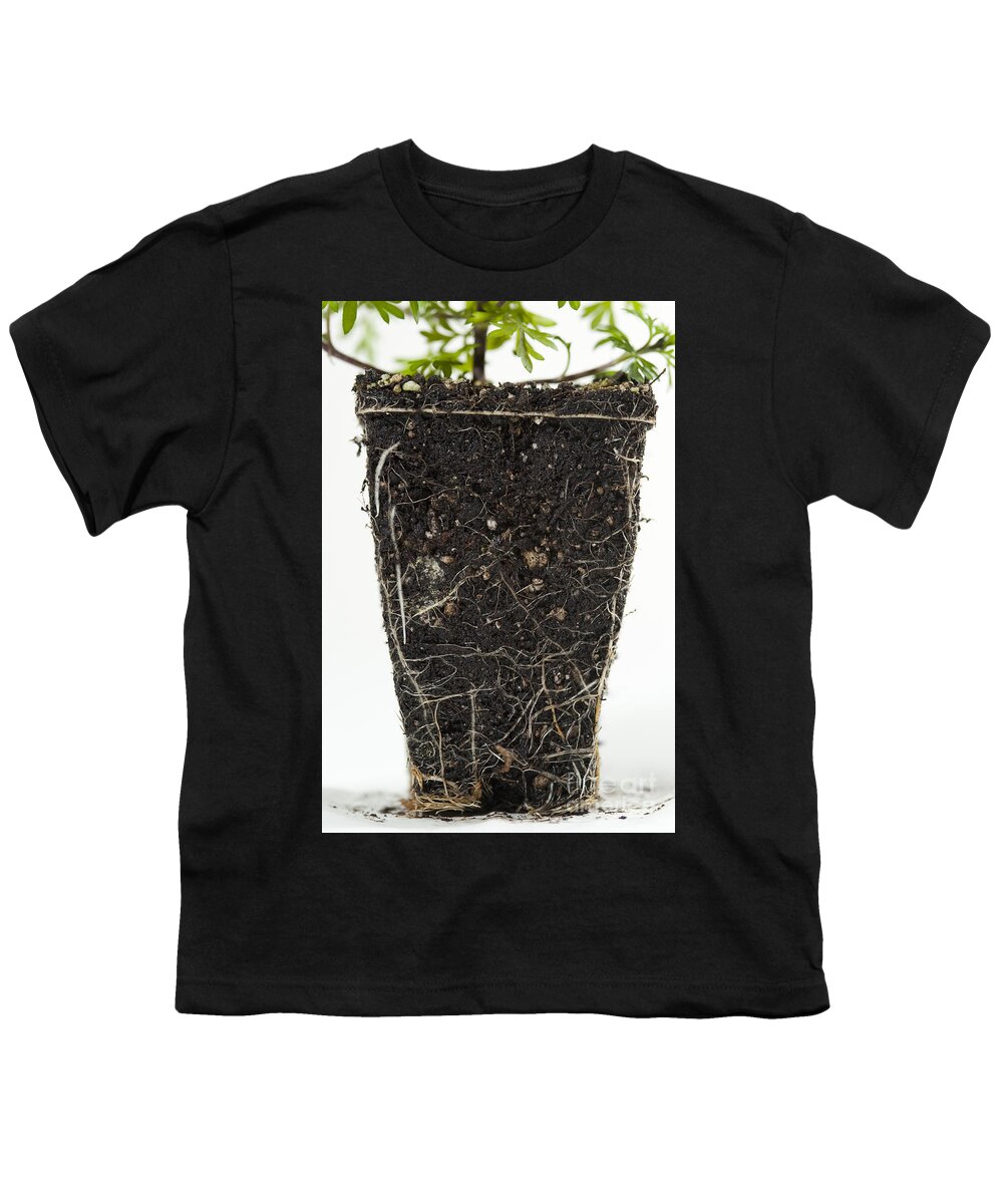 Annual Youth T-Shirt featuring the photograph Dwarf Yellow Bidens In Studio #2 by Jim Corwin