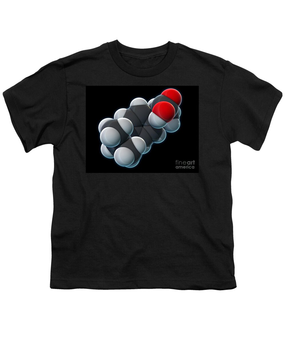Science Youth T-Shirt featuring the photograph Ibuprofen, Molecular Model #2 by Evan Oto