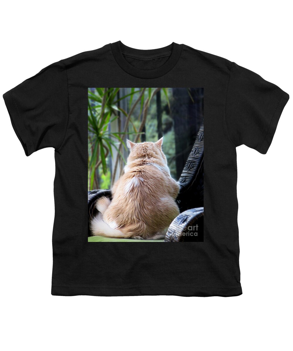 Cats Youth T-Shirt featuring the photograph Rainy Day Blues #1 by Ellen Cotton