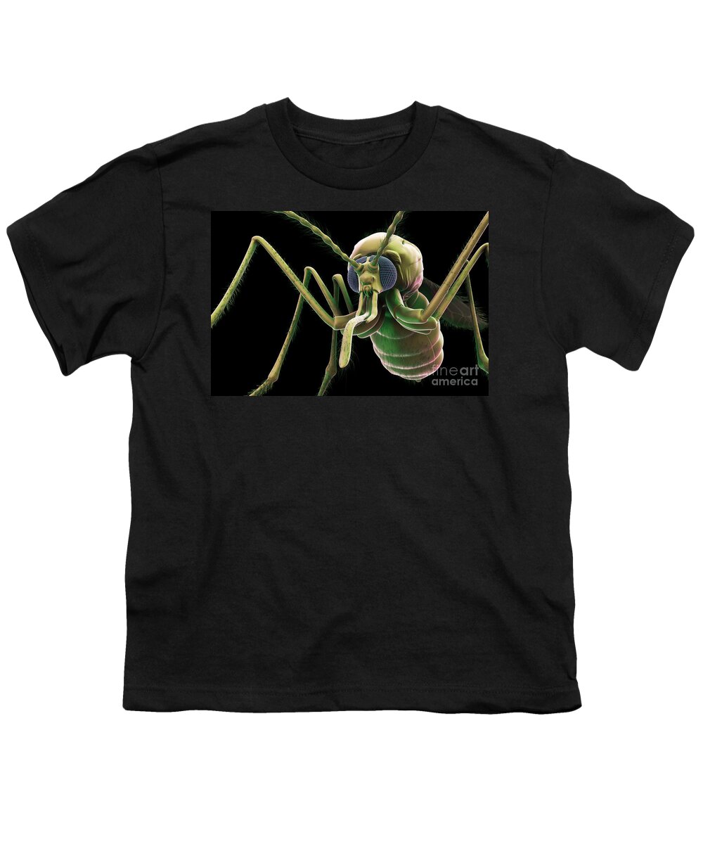 Haematophagous Youth T-Shirt featuring the photograph Anopheles Mosquito #21 by Science Picture Co