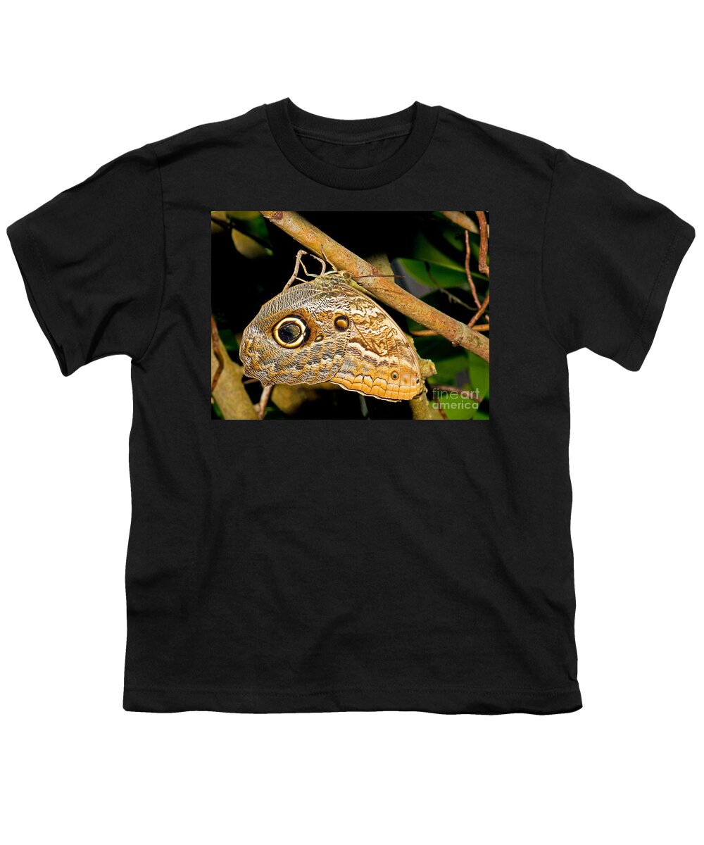 Eye Spots Youth T-Shirt featuring the photograph Owl Butterfly #3 by Millard H. Sharp