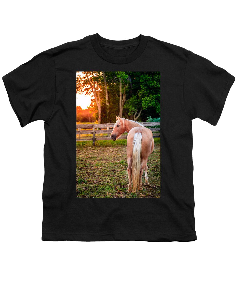 Bluegrass Youth T-Shirt featuring the photograph Horse on a farm #4 by Alexey Stiop