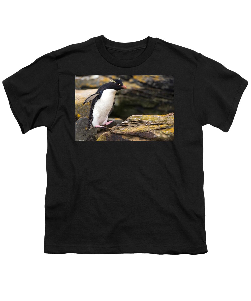 Southern Rockhopper Penguin Youth T-Shirt featuring the photograph Rockhopper Penguin by John Shaw