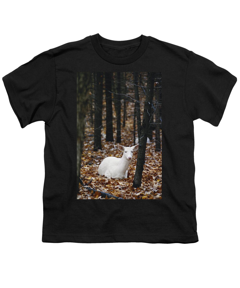 Albinic Youth T-Shirt featuring the photograph Albino White-tailed Deer #5 by Thomas And Pat Leeson