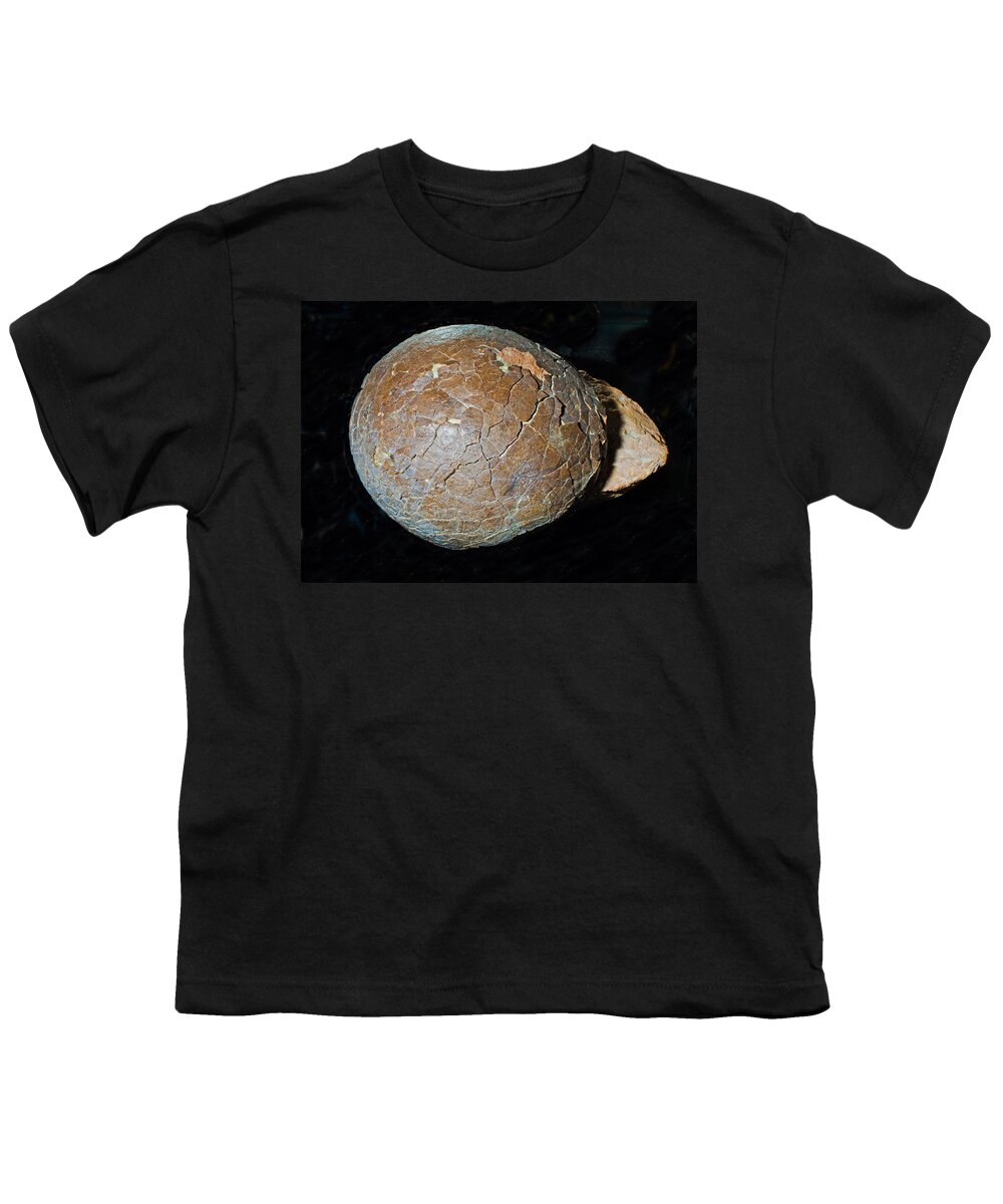 Science Youth T-Shirt featuring the photograph Dinosaur Egg Fossil #5 by Millard H. Sharp