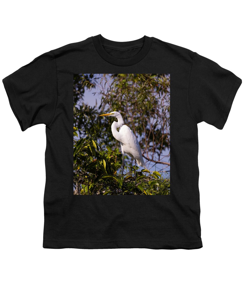 Egret Youth T-Shirt featuring the photograph Great White Egret #5 by Raul Rodriguez