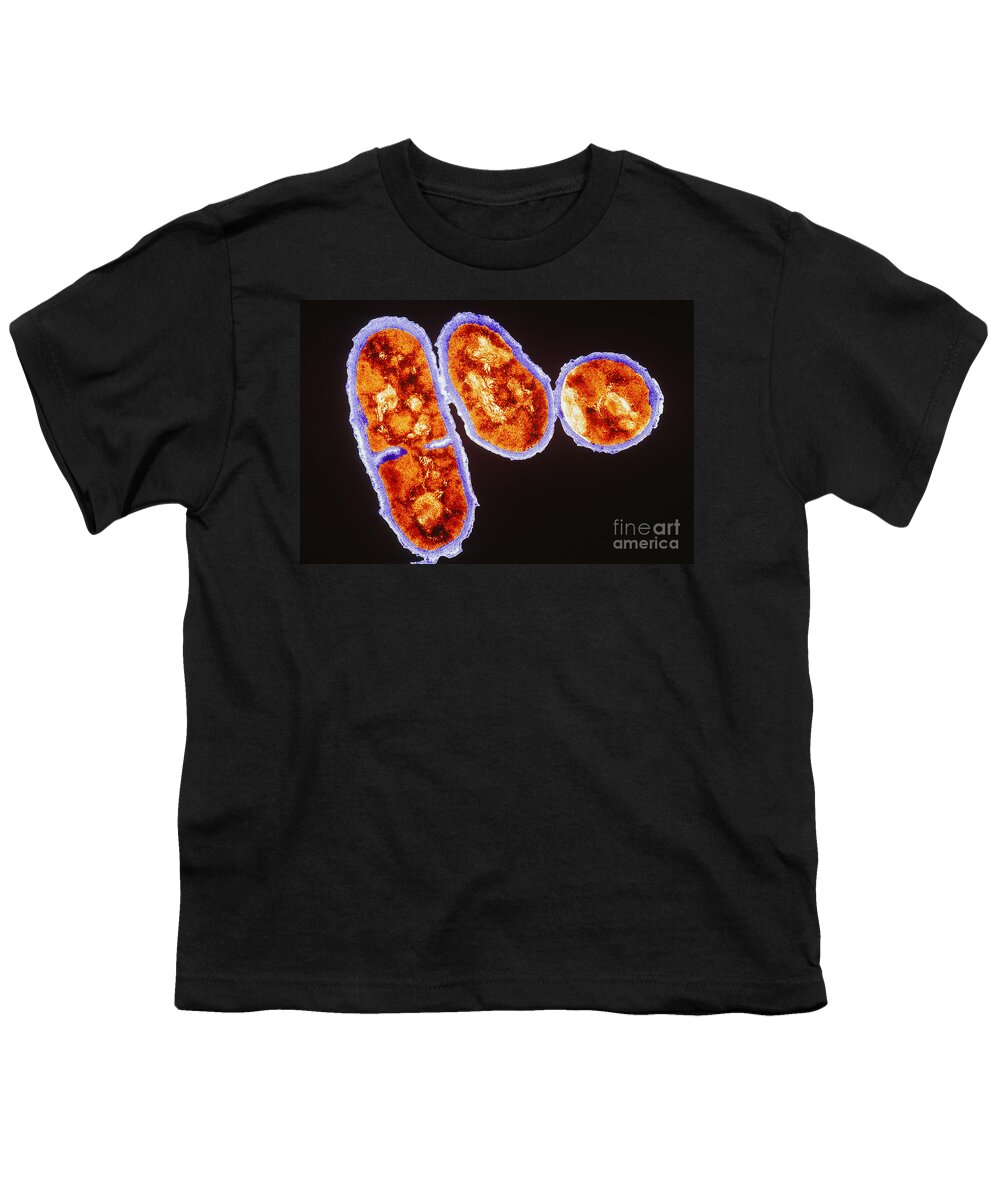 Propionibacterium Acnes Youth T-Shirt featuring the photograph Tem Propionibacterium Acnes #5 by Kwangshin Kim