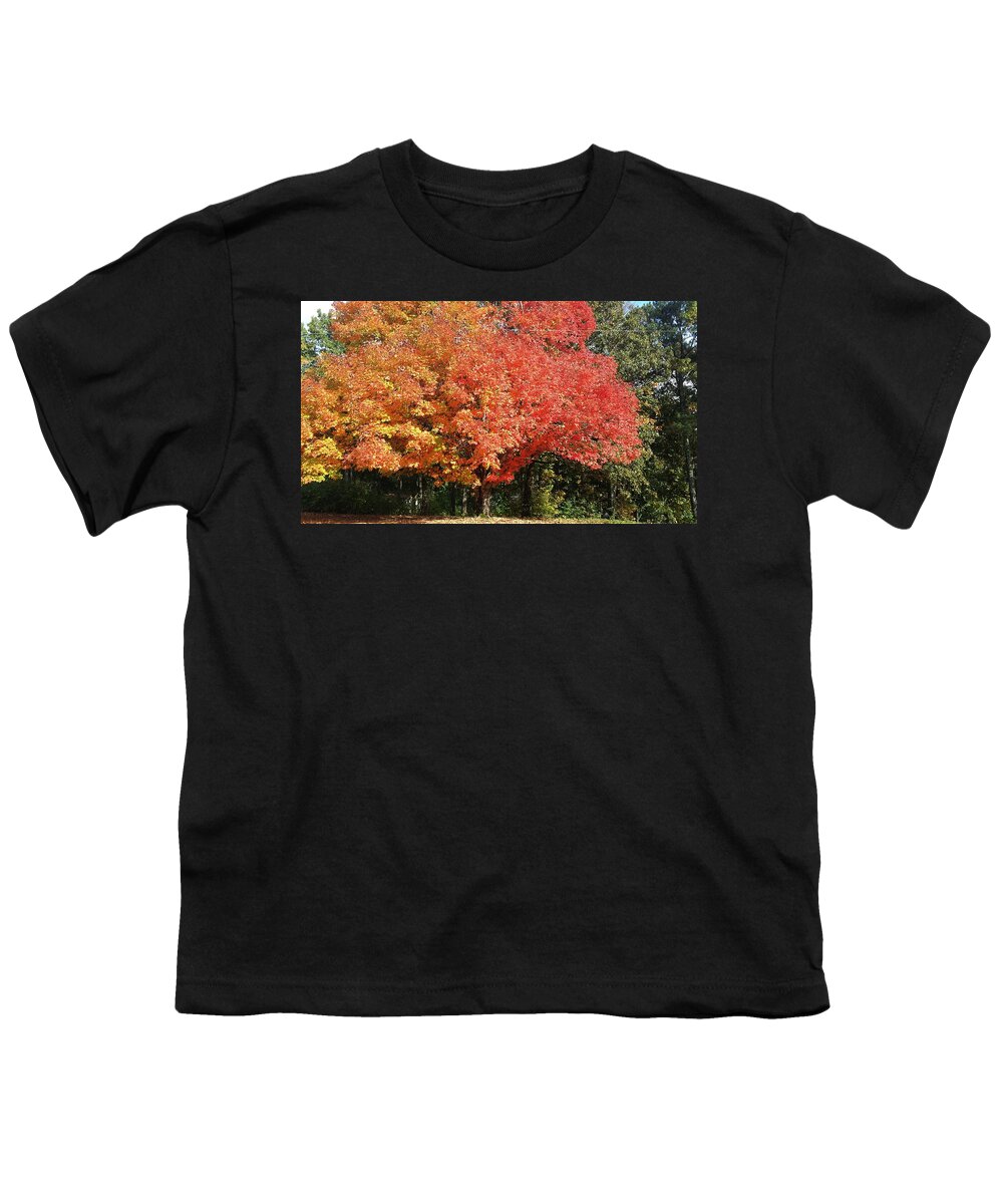 Fall Youth T-Shirt featuring the photograph Fall Explosion of Color #59 by Kenny Glover