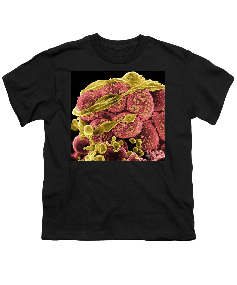 Micrograph Youth T-Shirt featuring the photograph Methicillin-resistant Staphylococcus #63 by Science Source