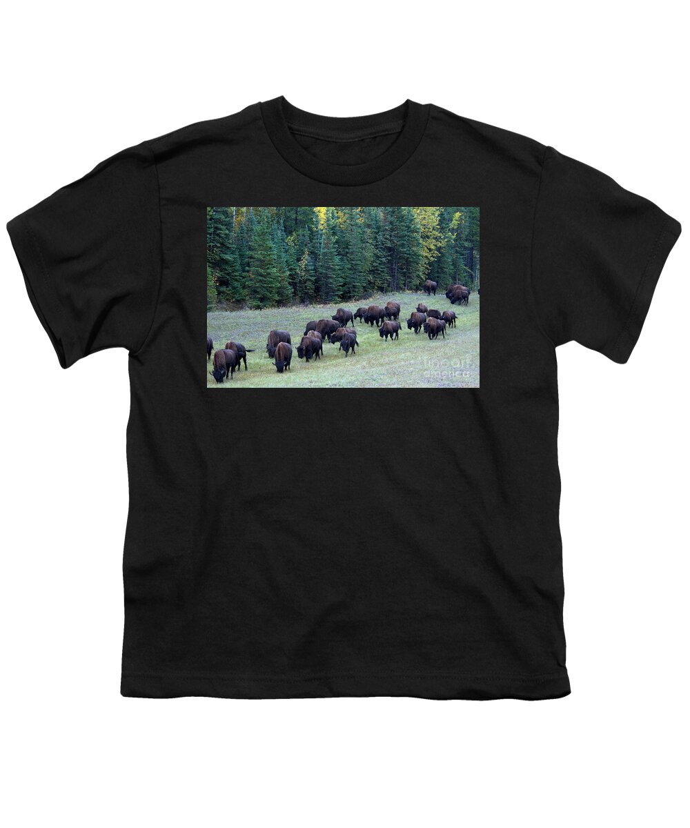 Animal Youth T-Shirt featuring the photograph Wood Bison #7 by Mark Newman