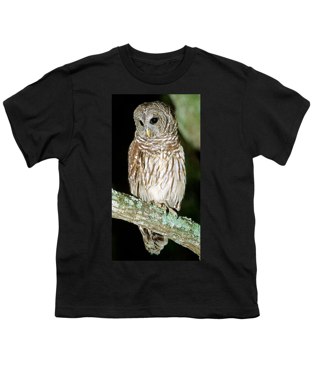 Barred Owl Youth T-Shirt featuring the photograph Barred Owl #9 by Millard H. Sharp