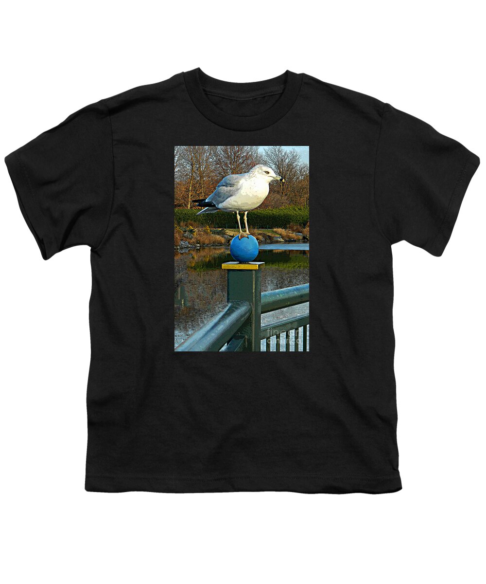 Seagulls Photographs Youth T-Shirt featuring the photograph A Balancing Act by Emmy Vickers