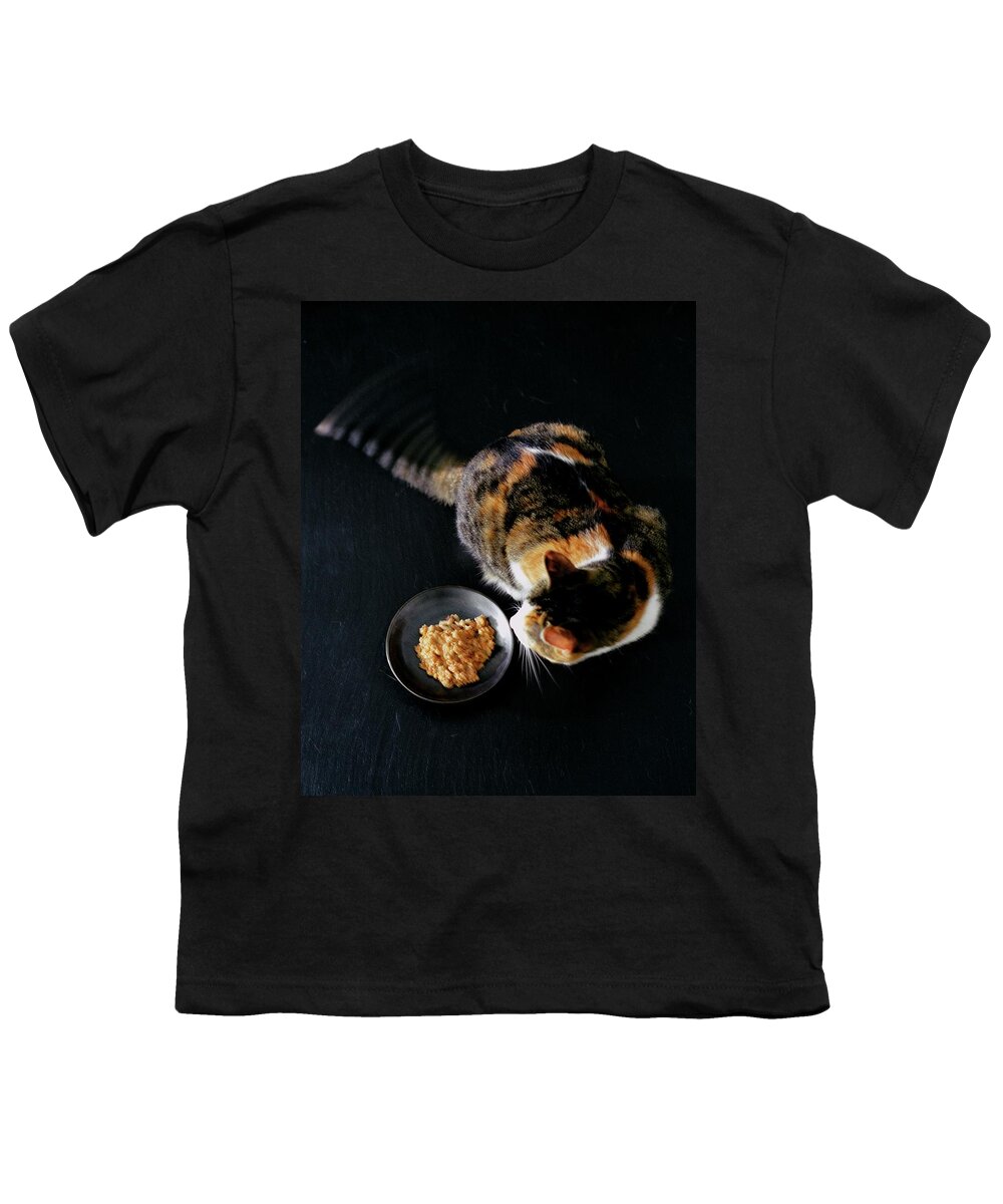 Cat Youth T-Shirt featuring the photograph A Cat Beside A Dish Of Cat Food by Romulo Yanes
