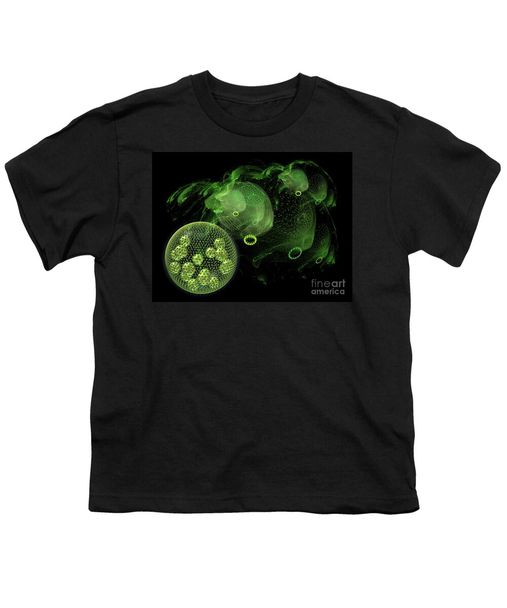Abstract Youth T-Shirt featuring the digital art Abstract pond creatures by Russell Kightley