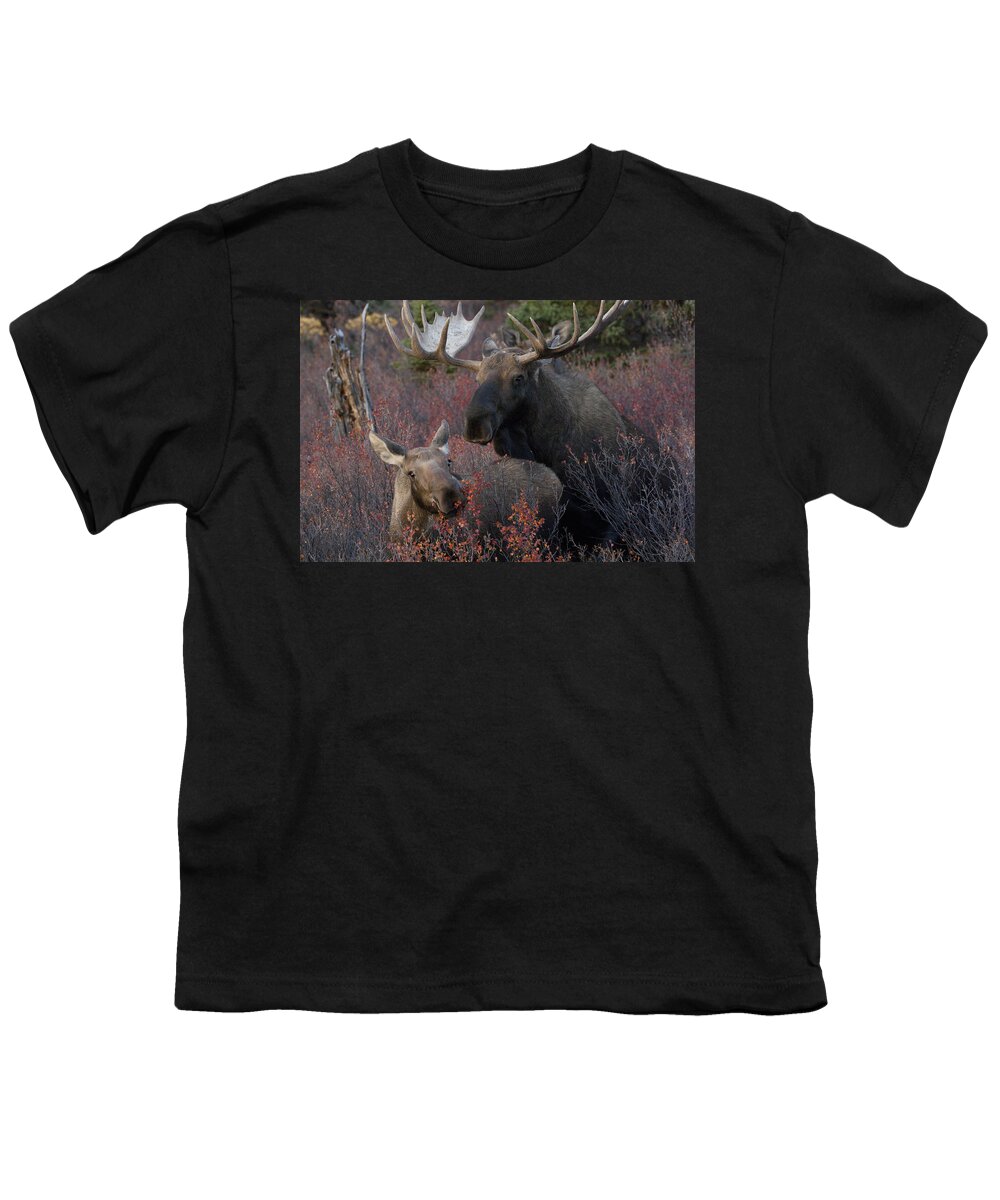 530760 Youth T-Shirt featuring the photograph Alaskan Moose And Calf Feeding by Michael Quinton
