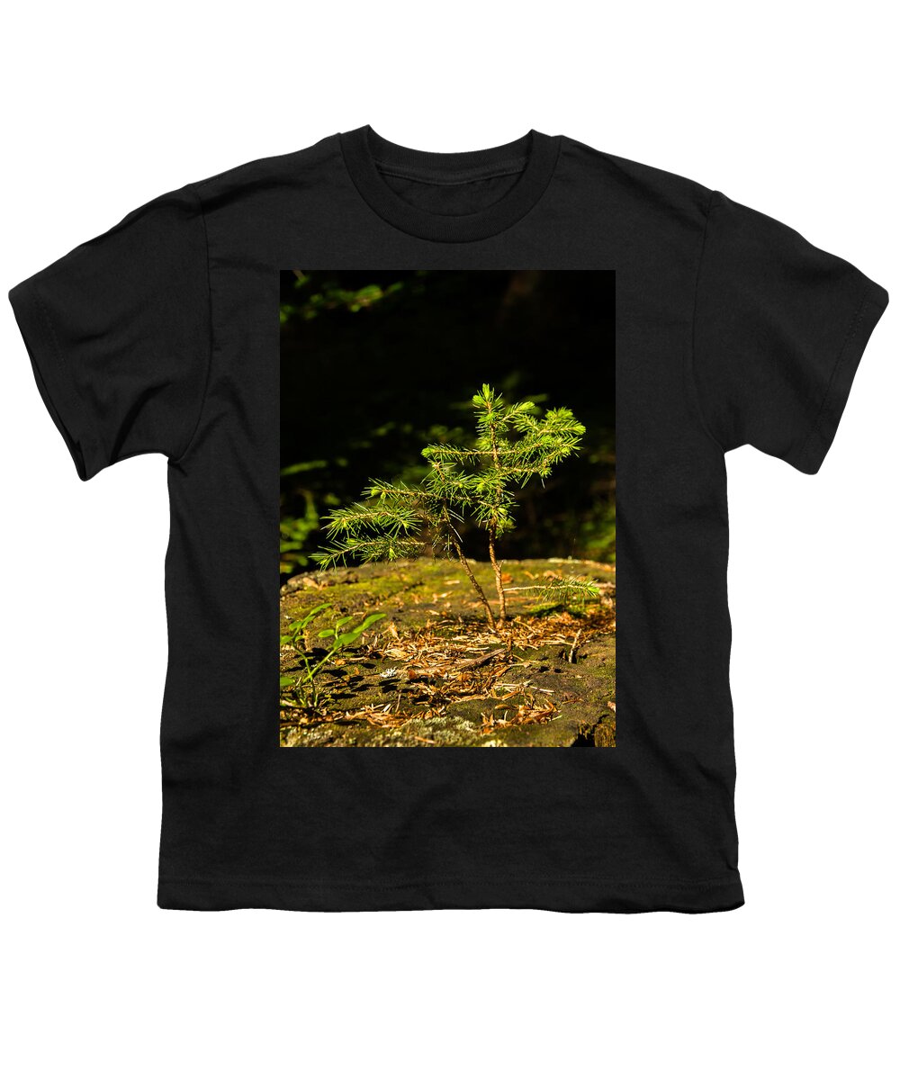 Tree Youth T-Shirt featuring the photograph Ambitious Spruce by Andreas Berthold