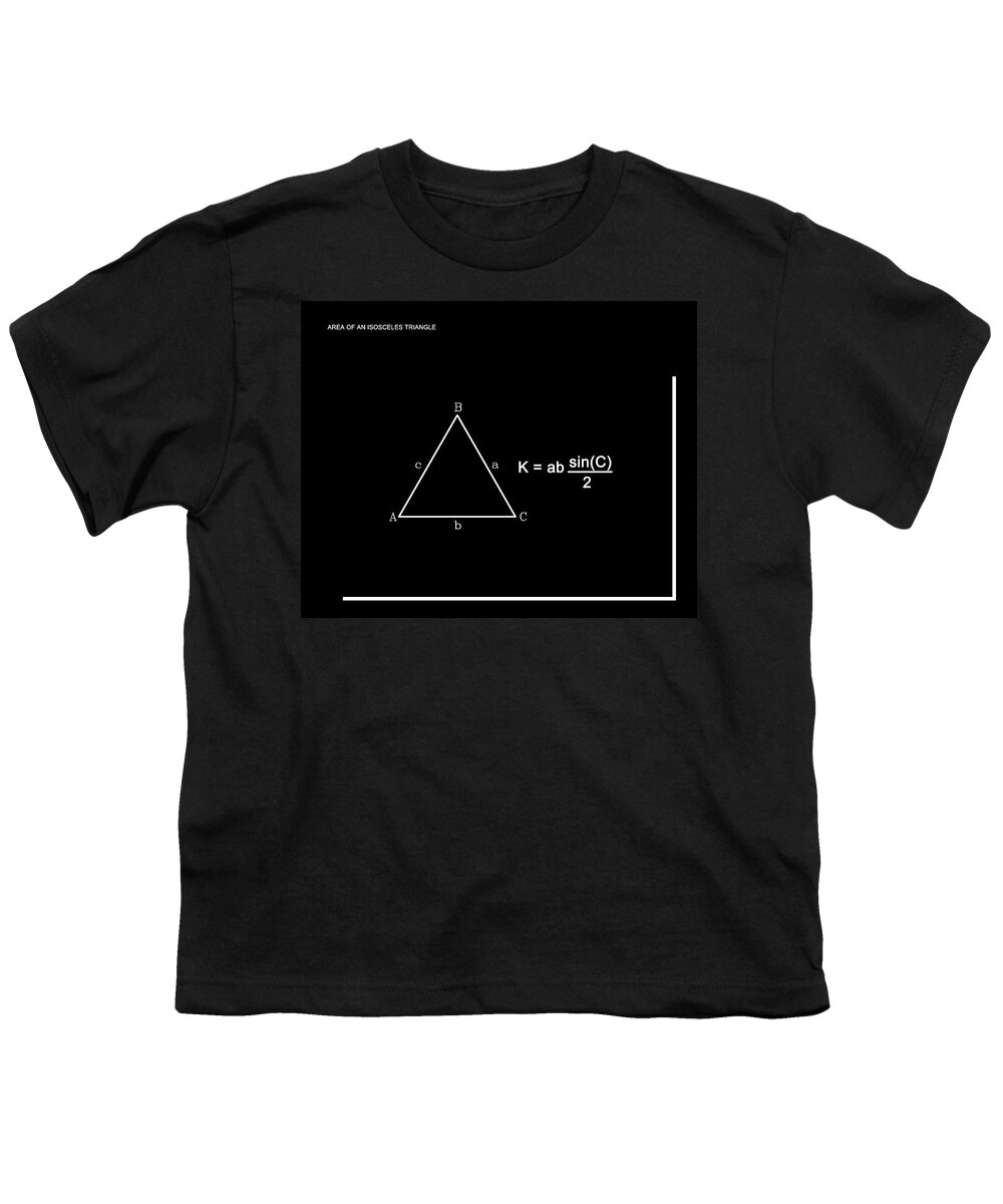 Feature Youth T-Shirt featuring the digital art Area of an Isosceles Triangle b/w by Paulette B Wright