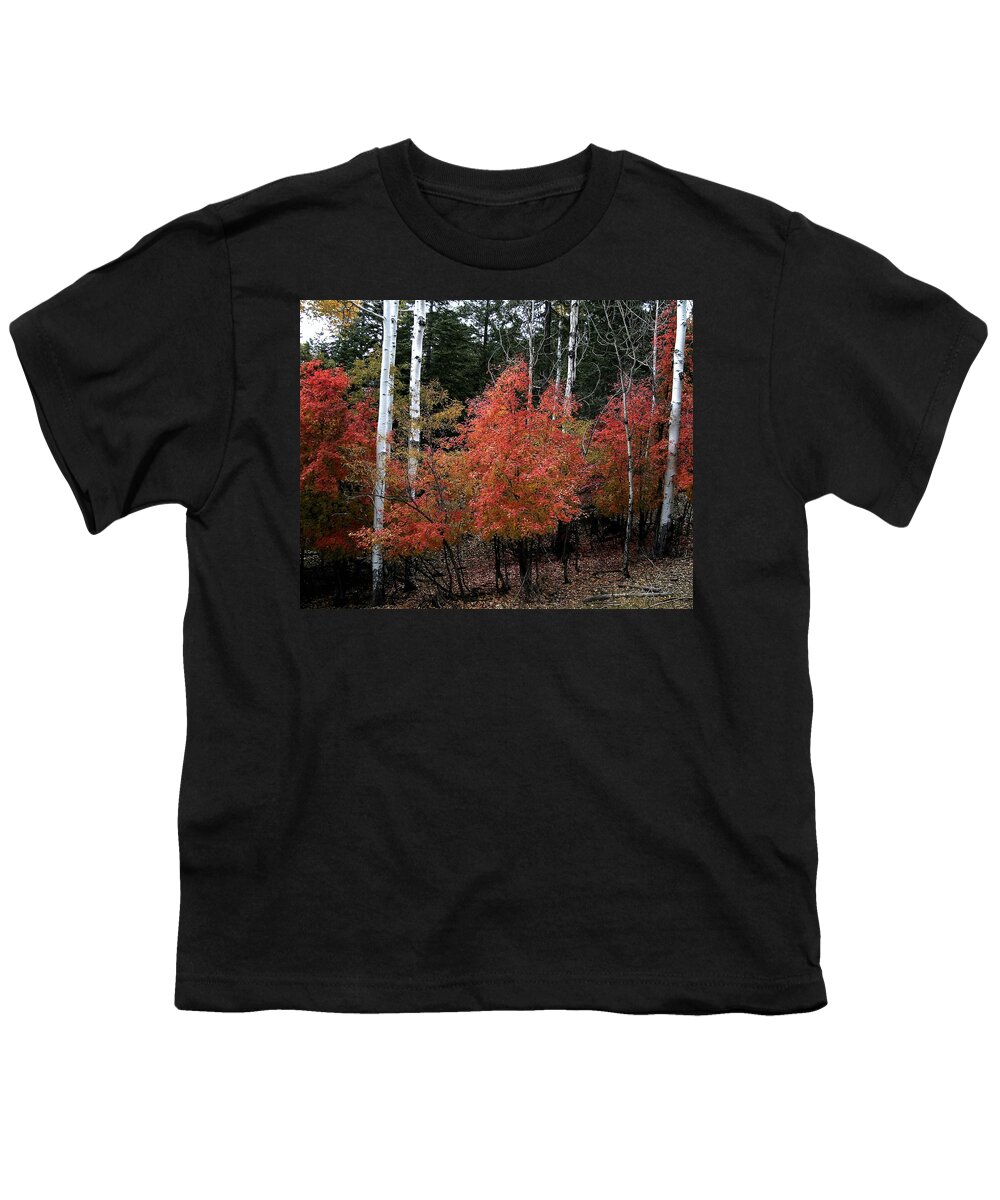 Landscape Youth T-Shirt featuring the photograph Aspen Glory by Matalyn Gardner