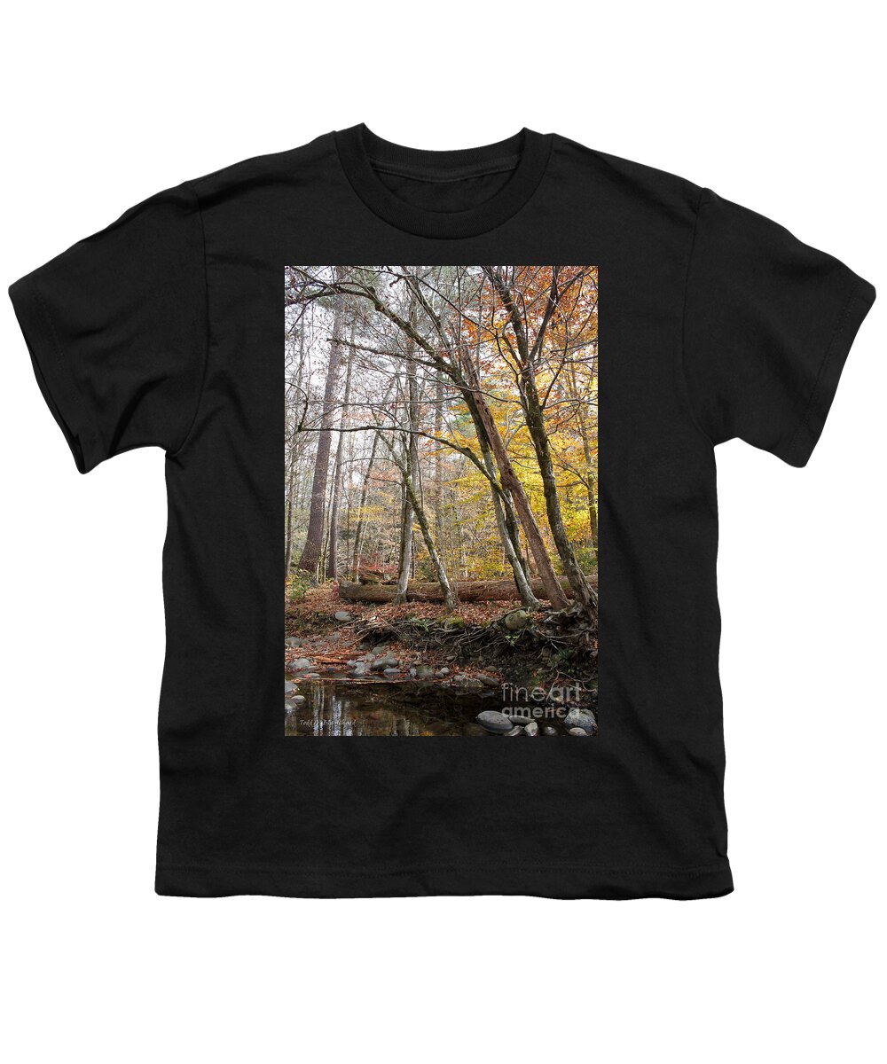 Landscape Youth T-Shirt featuring the photograph Autumn Seclusion by Todd Blanchard