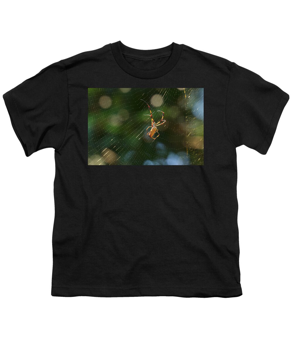 South Carolina Youth T-Shirt featuring the photograph Banana Spider in Web by Patricia Schaefer