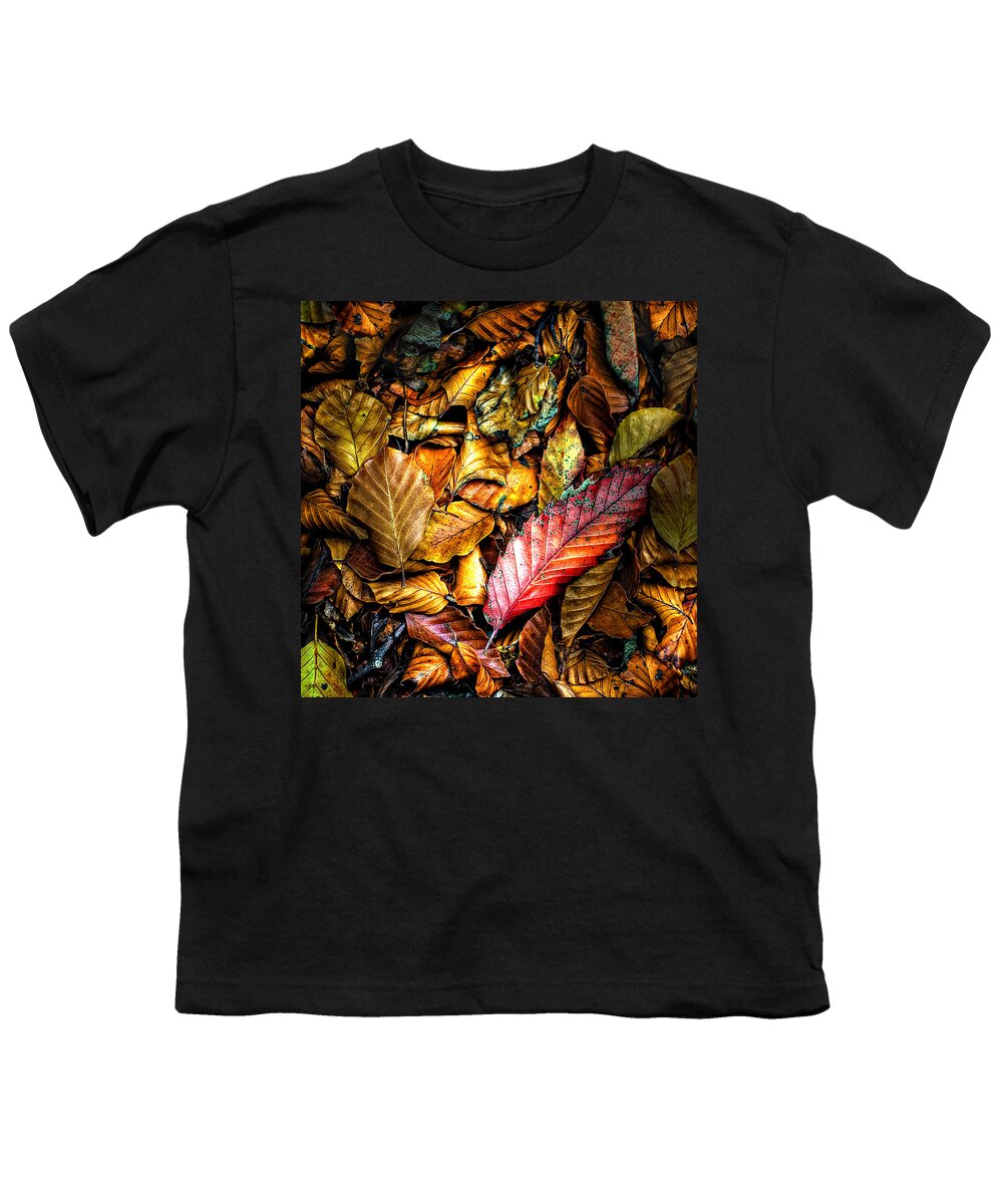 Autumn Youth T-Shirt featuring the photograph Beautiful Fall Color by Meirion Matthias