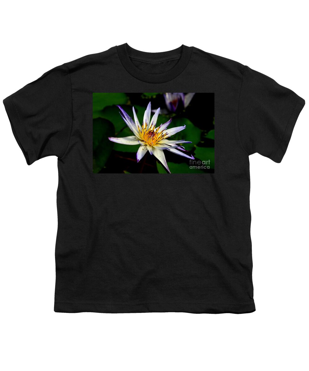 Lily Youth T-Shirt featuring the photograph Beautiful violet white and yellow water lily flower by Imran Ahmed