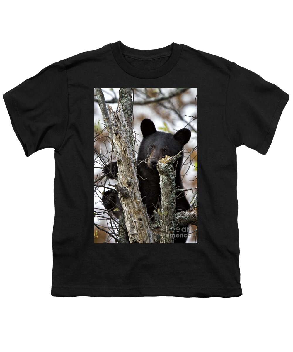 Black Bear Youth T-Shirt featuring the photograph Black Bear Cub by Ronald Lutz