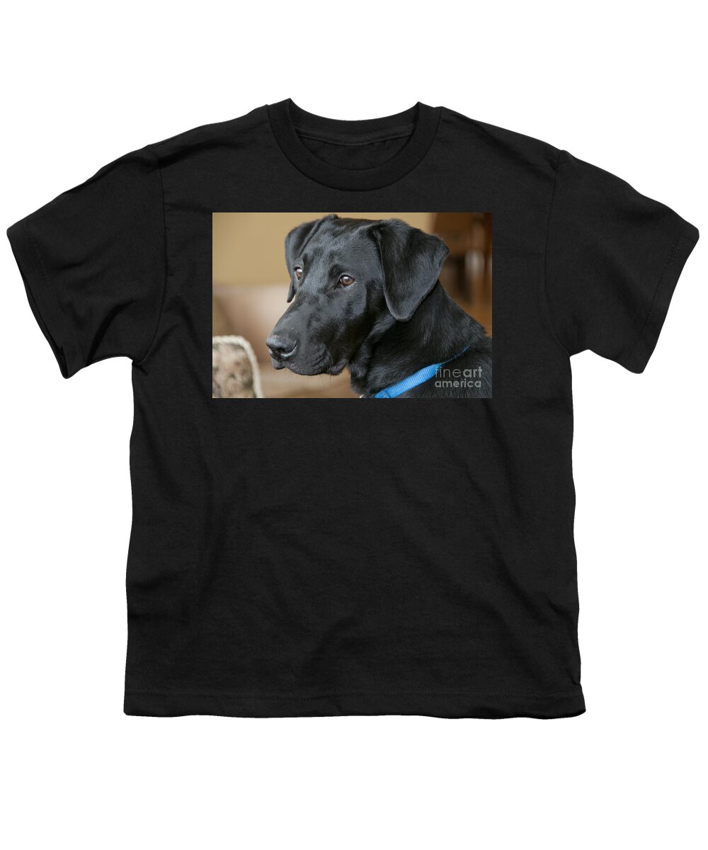 Black Labrador Puppy Youth T-Shirt featuring the photograph Black Lab by William H. Mullins