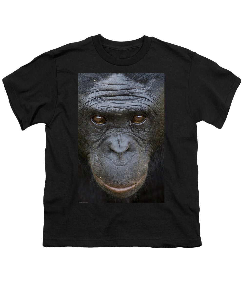 Feb0514 Youth T-Shirt featuring the photograph Bonobo Portrait by San Diego Zoo