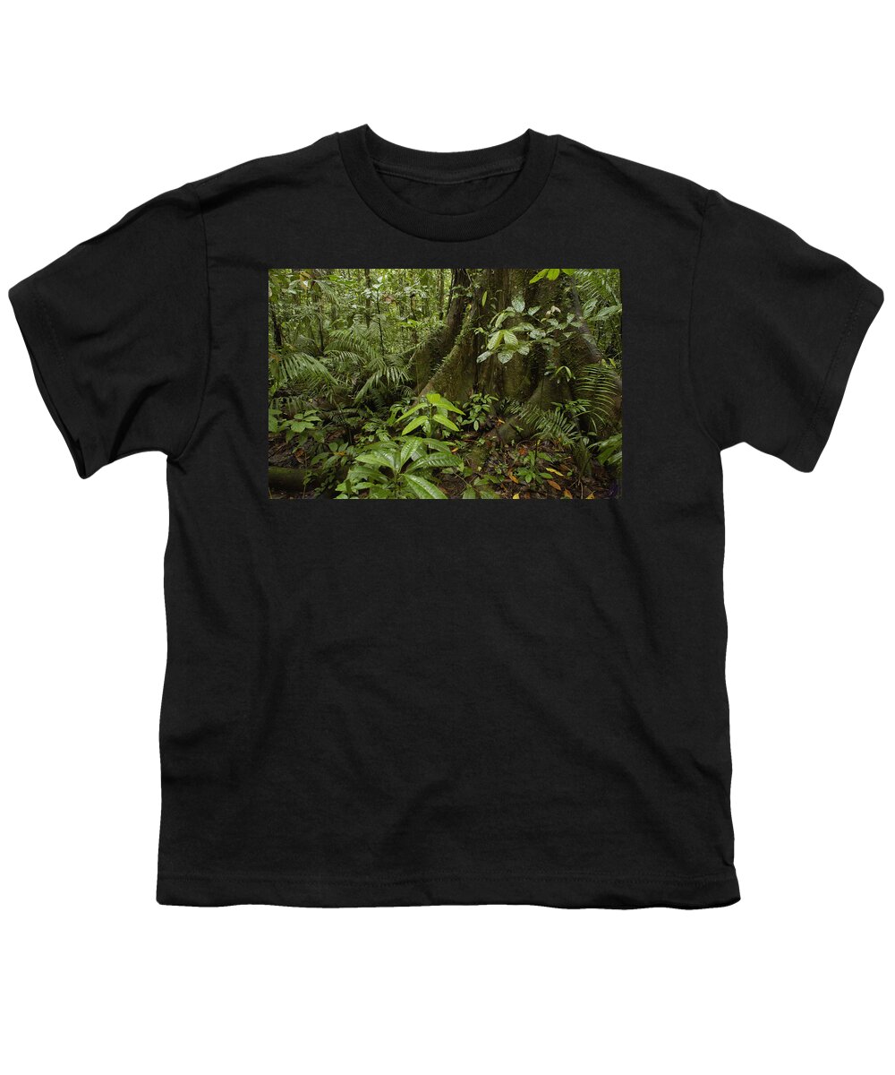 Feb0514 Youth T-Shirt featuring the photograph Buttress Roots In Rainforest Yasuni by Pete Oxford