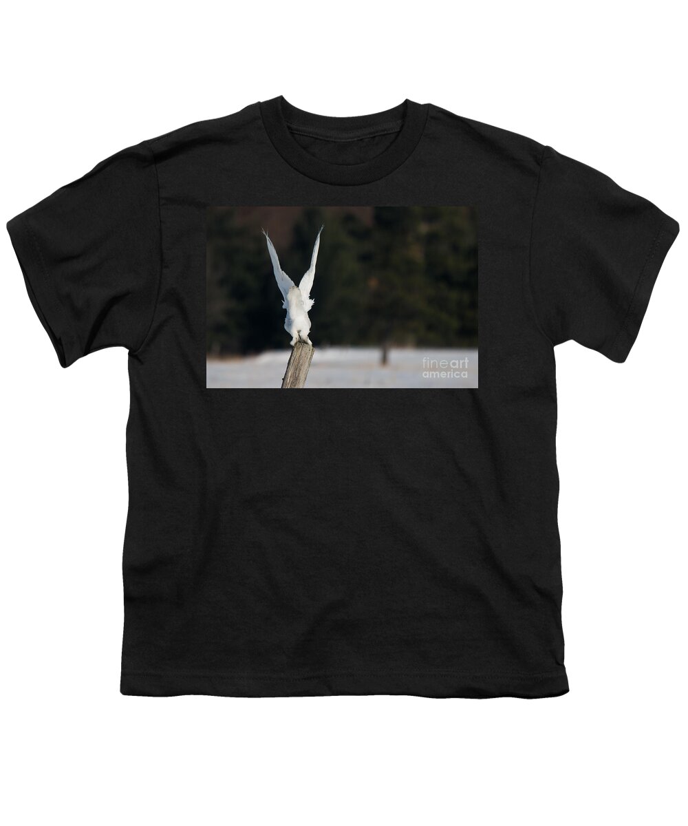 Snowy Owl Youth T-Shirt featuring the photograph Bye Bye Snowy by Cheryl Baxter