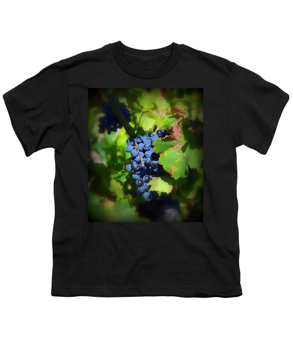 Chateauneuf Youth T-Shirt featuring the photograph Chateauneuf du Pape Hidden Treasure by Carla Parris