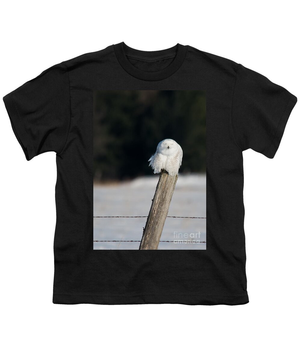 Snowy Owl Youth T-Shirt featuring the photograph Cheeky Snowy by Cheryl Baxter