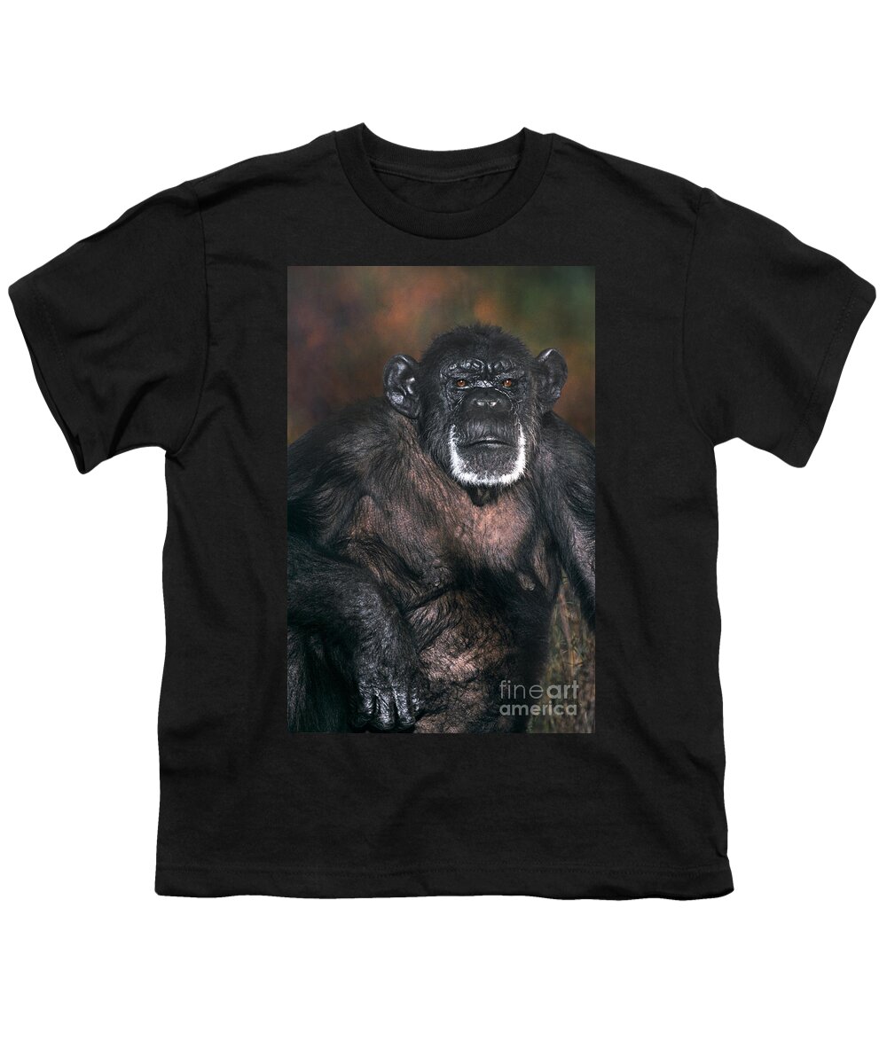 Chimpanzee Youth T-Shirt featuring the photograph Chimpanzee Portrait Endangered Species Wildlife Rescue by Dave Welling